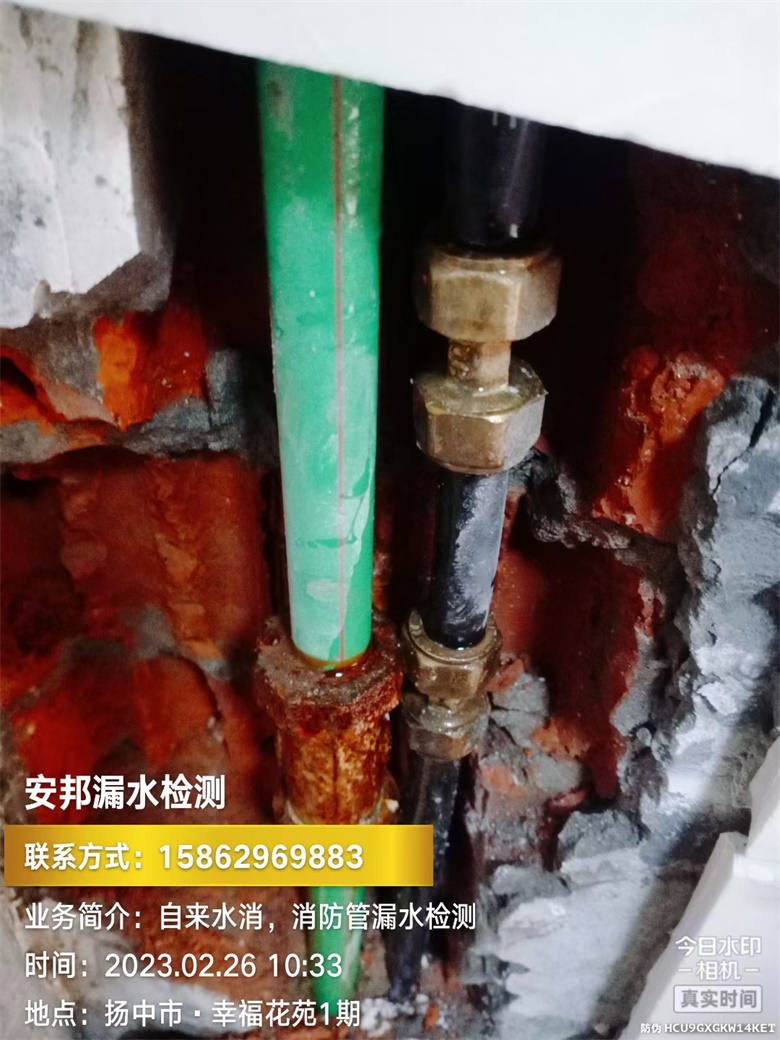 揚(yáng)中市漏水檢測(cè)--幸?；ㄔ?期